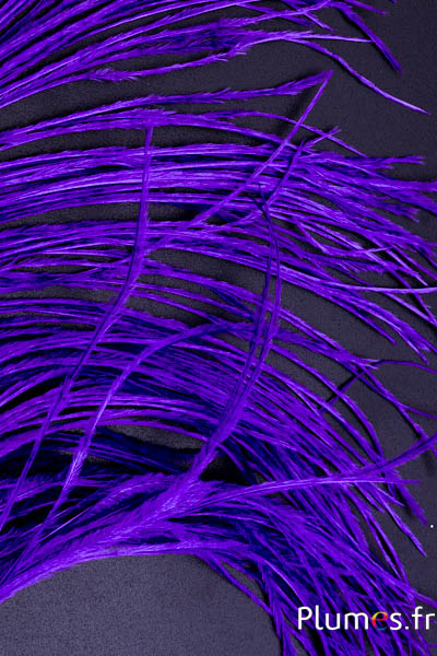 Autruche barbules - 8-15 cm - violet